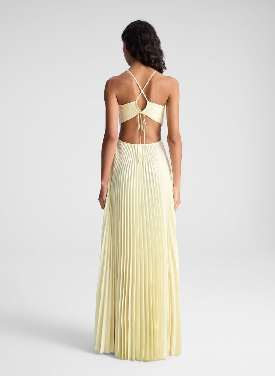 Robe Longue Plissée Sublimée